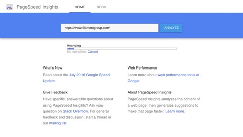 Pagespeed insights screenshot of filament group's 100 score